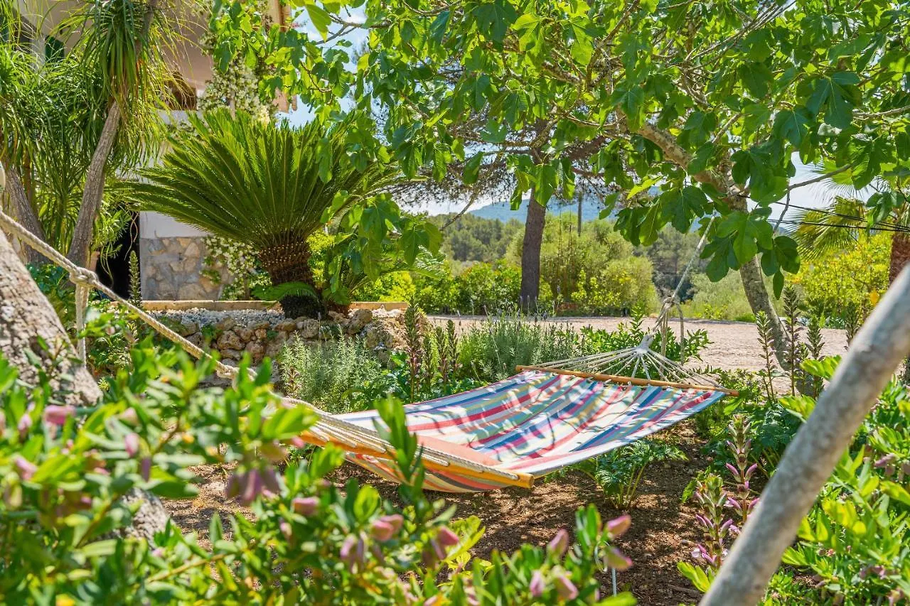 Villa Son Bibiloni Algaida